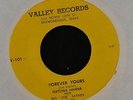 HEAR OBSCURE COUNTRY BOPPER RARE Fletcher Hanna VALLEY Records 101 Hepcat Boogie