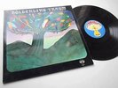 HÖLDERLIN - HÖLDERLINS TRAUM / 100% ORIG LP PILZ 20 21314-5 TOP RARE PSYCH KRAUT
