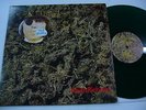 KEITH RICHARDS - Not Guilty (Green Color LP) Demos not TMOQ/TAKRL