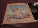 SAMETI SAME LP IN 1972 GREEN BRAIN HAMMER SUPER RARE