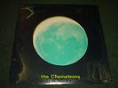 Spring Fallout The Chameleons NEW SEALED 1981 Alt Rock New Wave Portland, Oregon