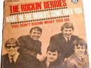 THE ROCKIN' BERRIES   --  what in the world's come over you  --