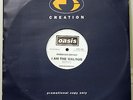 Oasis - I am the Walrus -  Vinyl 12