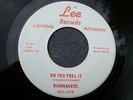 1967 MICHIGAN GARAGE--RAINMAKERS--DO YOU FEEL IT / HOUSE OF THE RISING SUN--LEE