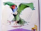 ATOMIC ROOSTER LP IN VERY GOOD CONDITION