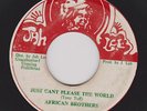 1st Press AFRICAN BROTHERS - JUST CAN'T PLEASE THE WORLD on the JAH LEE label