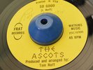 RARE - THE ASCOTS 