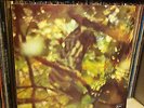 LP ITALIAN PROG CLAUDIO ROCCHI ESSENZA ORIGINAL 11-73  ITALIA ITALY
