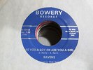 RAVENS Are You A Boy 45 BOWERY 60's garage fuzz OH VG++  nice