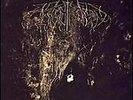 Two Hunters [LP] by Wolves in the Throne Room (Vinyl, Aug-2008, 2 Discs,...