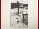 B.J. COLE - THE NEW HOVERING DOG rare UK 1st press LP superb