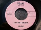 1966 GARAGE--GENTS--IF YOU DON'T COME BACK / I'LL CRY--DUANE 1048