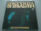 SPIROGYRA bells,boots and shambles Vinyl LP Rare Original Green Brain Krautrock