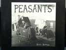 PEASANTS rock bottom LP VG+ AR 9345 Record Private MN Minneapolis Punk Rock MP3