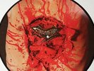 DISMEMBER -Indecent and Obscene PIC-LP 1993 RARE grotesque sinister grave death