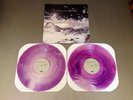 Minus The Bear - Planet Of Ice - 2x12