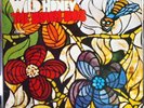 THE BEACH BOYS wild honey LP VG+ ST 2859 Vinyl 1st Press UK Stereo 1967 Complete