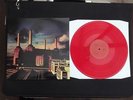 PINK FLOYD ANIMALS 12