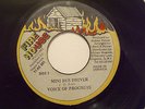 VOICE OF PROGRESS -MINI BUS DRIVER KILLA  REGGAE 45