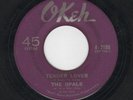 FANTASTIC NORTHERN SOUL-OPALS-OKEH 7188-TENDER LOVER/DOES IT MATTER-VINYL-LISTEN