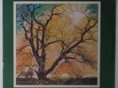 Family Tree - We Shall See Him As He Is LP - Cheri - Modern Soul Gospel mp3