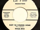 NORTHERN 45-MACK RICE-BABY I'M COMING HOME /MY BABY on LU PINE-NM