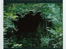 Angels of Light - New Mother LP Swans Black Vinyl