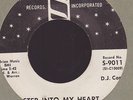 Ronnie and Robyn Northern Soul WLP 45 on Sidra #9011