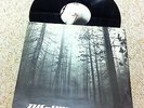 The Cure A Forest Rare 12