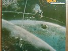 ASFALTO same LP CHAPA 1978 ORG*gatefold sleeve*SPANISH HARD PROGRESSIVE*M-