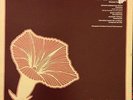 MICHAEL NEWMAN/classical guitar/ direct to disc/1978 lp