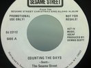 SESAME STREET DOO WAHS & MUPPETS counting the days/christmas sing along 7