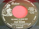 Modern Soul 45 TED RABB You Want To Know Why—Mama Boogie Dancer PANDORA 301 NM-