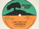 BLOOD HOLLINS - Don't Give It Up