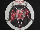 SLAYER - Reign in blood ( pic disc)