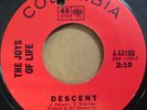 THE JOYS OF LIFE - Descent/Good Times Are Over  RARE KILLER psych garage 45 HEAR