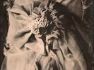 AMENRA Mass I LP Ltd 1200 doom/sludge Neurosis Year Of No Light Cult Of Luna