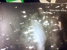 YEAH YEAH YEAHS - Is Is - RARE 5 TRACK EP 2X 7