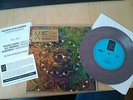 BLUES PILLS - Black Smoke (Limited 7