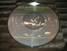 * RAMMSTEIN * LIEBE IST FUR ALLE DA PICTURE DISC VINYL LP LTD ED **SHIPS FREE**