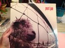 Pearl Jam Vs. Vinyl Record, New And Sealed