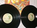 Nuggets - Psychedelic Era 1965-68 - US Elektra 7E-20096 - Seeds/Leaves/Nazz etc