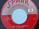 The ROBINS 45 Riot In Cell Block #9  SPARK 103 ORIGINAL VG+  DOO WOP R&B  1954