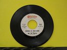 VHTF We The People GARAGE Challenge 59333 PROMO Mirror Of Your Mind / Color Of