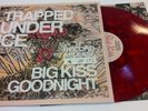 TRAPPED UNDER ICE BIG KISS GOODNIGHT RECORD RELEASE REAPER SXE NYHC KOTF TUI BKG