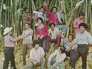 Orquesta International - Mima La Pululera  MINT  Salsa y Guaguanco Lp