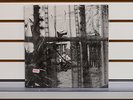 Paul McCartney- Chaos and Creation in the Backyard Vinyl LP (Import) NEW/sealed