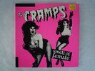 THE CRAMPS 
