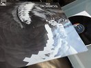 GROUNDHOGS     - SPLIT -   MINT ARCHIVE ORIGINAL ALBUM 1971 / TOP ZUSTAND