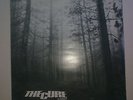 The Cure A Forest 12